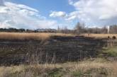 В николаевском парке «Лески» выгорело 2000 м² камыша