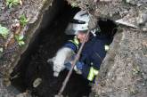 Николаевские спасатели достали щенка, провалившегося в выгребную яму