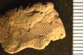 Археологи нашли отпечаток пальца возрастом около 5000 лет