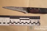 В Николаевской области задержали женщину, ударившую знакомого ножом в живот