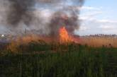 В Николаеве спасатели более двух часов тушили пожар: неизвестные сожгли 2 га камыша