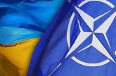 Украина не вступит в НАТО в ближайший год - Разумков