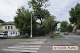 В центре Николаева дерево разрушает жилой дом: помочь жильцам никто не спешит