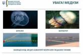 Акваторию Азовского моря заполонили медузы