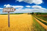 За три недели в Николаевской области продали 18 га земли