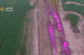 На Ровенщине разлили химикат – полевая дорога окрасилась в розовый цвет (видео)