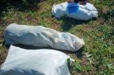 Пятерым жителям Николаевской области грозит срок за выращивание и употребление наркотиков