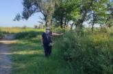 В Николаеве парк зарос кустами амброзии высотой почти в человеческий рост