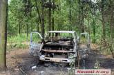 В Николаеве неизвестные в парке «Дубки» сожгли автомобиль