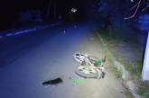 В Первомайске мопедист сбил 6-летнего ребенка с велосипедом