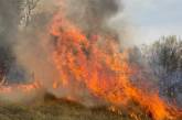 За сутки в Николаевской области горело более 12 га территорий