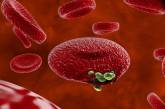 В Украине выросла заболеваемость малярией и увеличилось число больных лихорадкой Западного Нила