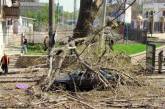 В центре Одессы дерево рухнуло на женщину и машину