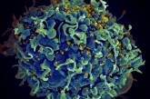 В Японии ученые успешно испытали вакцину от ВИЧ