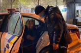 Полицейские Вознесенска вернули домой заблудившуюся пенсионерку
