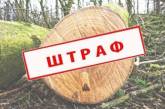 В Николаевской области браконьера, спилившего деревья в лесополосе, оштрафовали на 5 тысяч