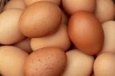  В Украине производство яиц упало на 13,5%, - Госстат