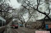В центре Николаева остановились трамваи: на провода упала ветка (видео)