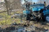 В Николаевской области «Хюндай» слетел с трассы: один погибший, трое пострадавших, в том числе младенец