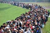 Литва заплатит по тысяче евро мигрантам, которые покинут страну
