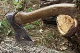 Житель Николаевской области вырубил деревья в лесополосе на 40 тысяч