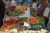 В Николаеве появится крупнейший в Украине оптовый рынок сельхозпродукции