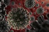 В Николаевской области у 1127 человек выявили коронавирус