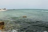 Экологи выяснили, в каком состоянии находится Черное море