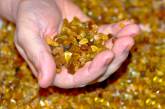Самыми популярными минералами у инвесторов в Украине стали янтарь и песок