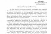 Гриценко попросил одесского и николаевского прокуроров проверить законность застройки пляжа в Коблево