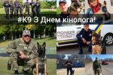 В Николаеве более 30 овчарок и лабрадоров служат в кинологическом центре полиции