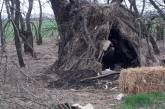 В селе Николаевской области оккупанты «свили себе гнездо»