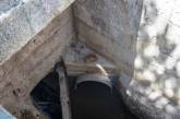Выжил, потому что не было воды: в ГКП «Николаевводоканал» пришел кот по канализационной трубе