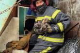 Киевские спасатели вынесли из огня семерых щенков (фото)