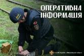 Николаевские пиротехники за день изъяли 59 неразорвавшихся вражеских снарядов