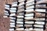 За день николаевские пиротехники изъяли 50 вражеских снарядов