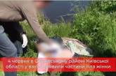 В Киевской области нашли чемодан с частями женского тела