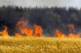 Обстрелы Николаевской области: горели дома и поле пшеницы, повреждена инфраструктура, - ОК «Юг»