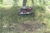 На Николаевщине мотоцикл врезался в дерево: два человека погибли, еще двое госпитализированы. ДОБАВЛЕНО ФОТО