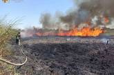 В Николаевской области пожарные спасли от огня пшеничное поле, дома и гнездо с птенцом