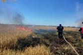 Обстрелы николаевской области: горели поля с урожаем и лес