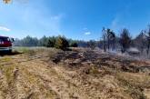 В Николаевской области из-за обстрелов горели дом, лес и сухая трава