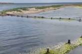На Тилигульском лимане неизвестные обустроили «персональный пруд» (видео)