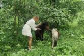 Украинский военный спас двух пони
