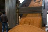 ООН поможет Украине хранить миллионы тонн зерна