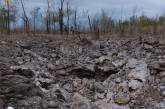 В Николаевской области из-за обстрелов горел хвойный и лиственный лес