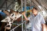 Николаевский зоопарк получил 3 млн евро от онлайн продажи билетов