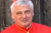 Посланник папы римского попал под вражеский обстрел во время гуманитарной миссии
