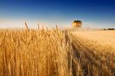В РФ заявили, что приостанавливают участие в «зерновой сделке» из-за атаки в Севастополе