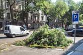 В Одессе общественник кувалдой уничтожил стихийную парковку  ФОТО